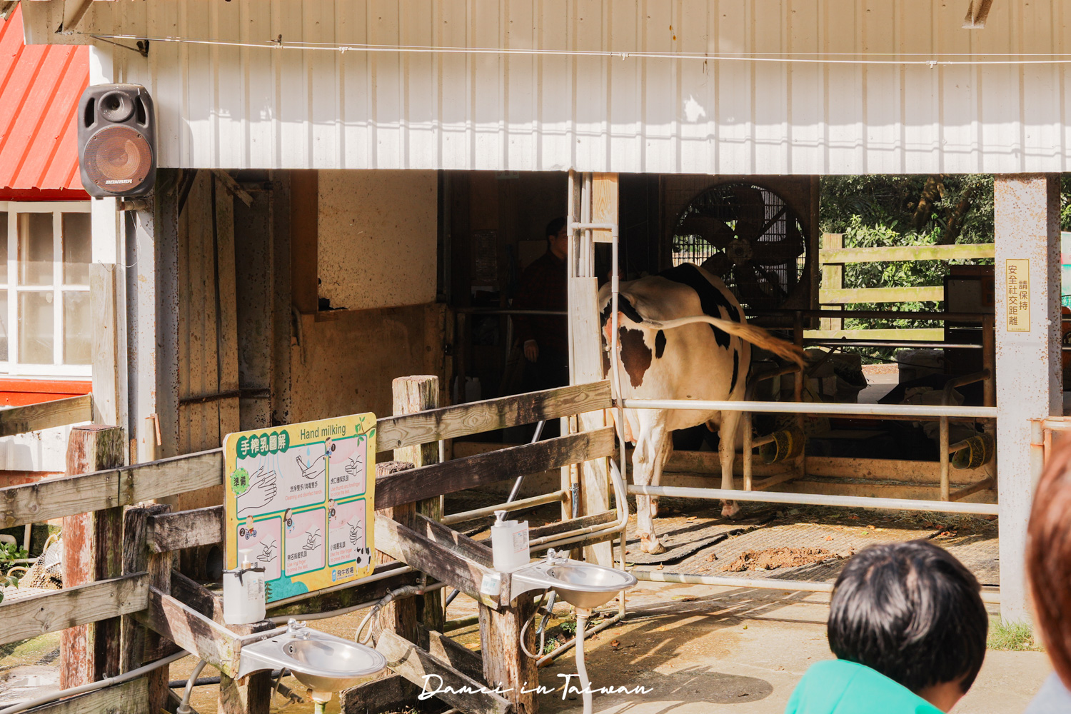 苗栗通霄景點「飛牛牧場」好玩嗎？門票、餐飲一次分享