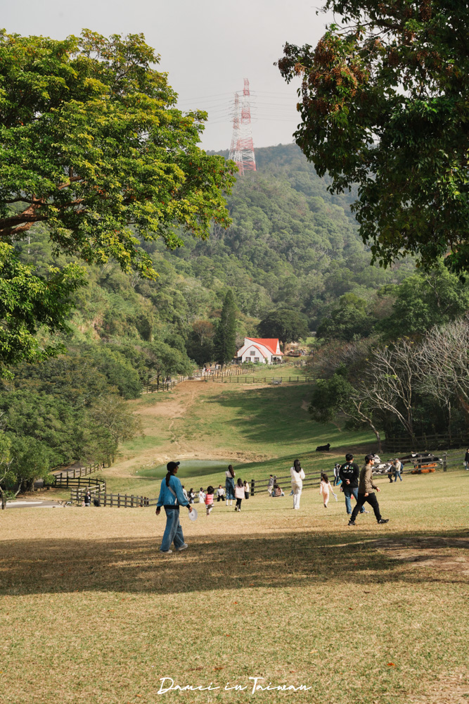苗栗通霄景點「飛牛牧場」好玩嗎？門票、餐飲一次分享