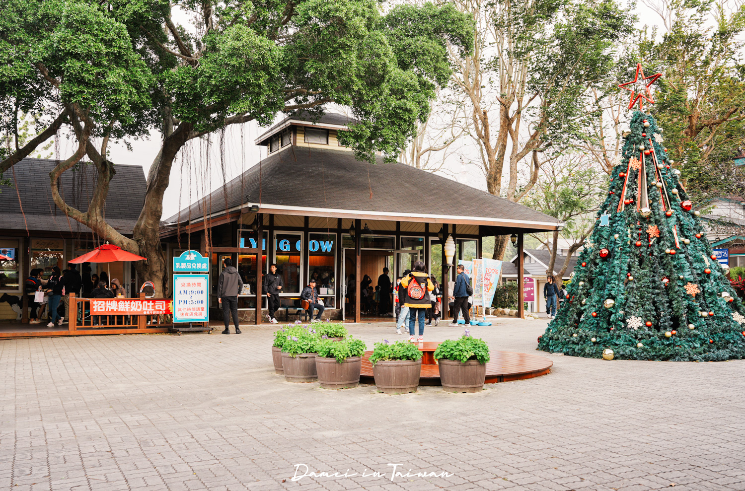 苗栗通霄景點「飛牛牧場」好玩嗎？門票、餐飲一次分享