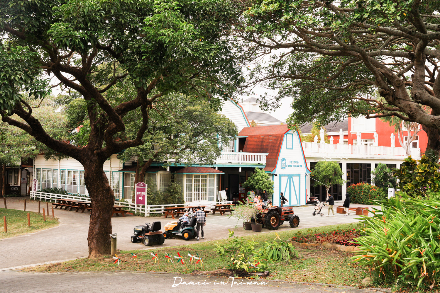 苗栗通霄景點「飛牛牧場」好玩嗎？門票、餐飲一次分享