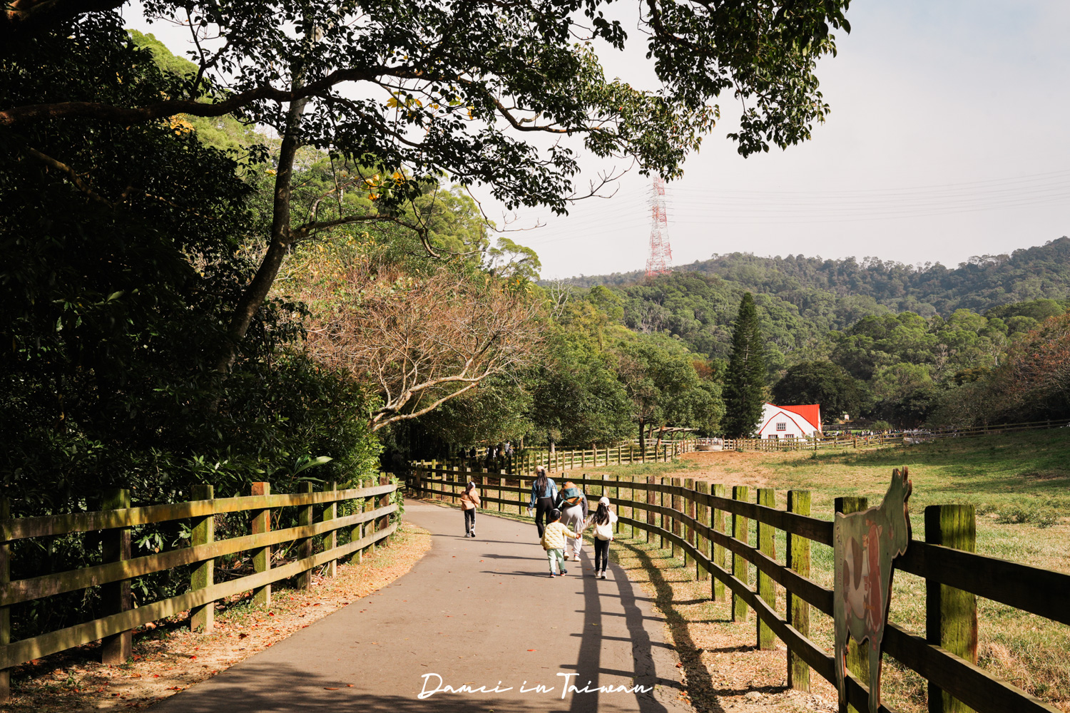 苗栗通霄景點「飛牛牧場」好玩嗎？門票、餐飲一次分享