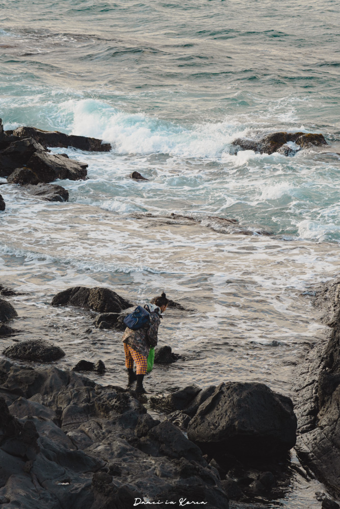 龍頭岩、龍淵峽谷|鄰近濟州機場,從市區就能抵達的自然奇景! - 第24張圖 龍頭岩、龍淵峽谷|鄰近濟州機場,從市區就能抵達的自然奇景!