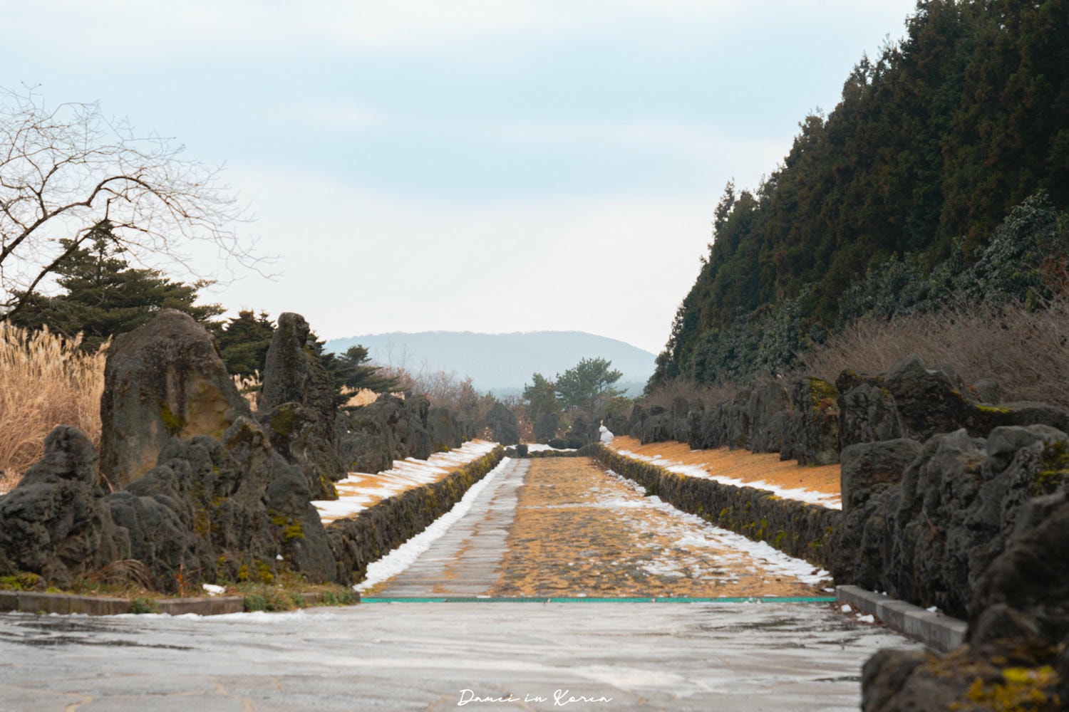 濟州島秋日必去！山君不離산굼부리-獨特火山凹地，冬季積雪更迷人