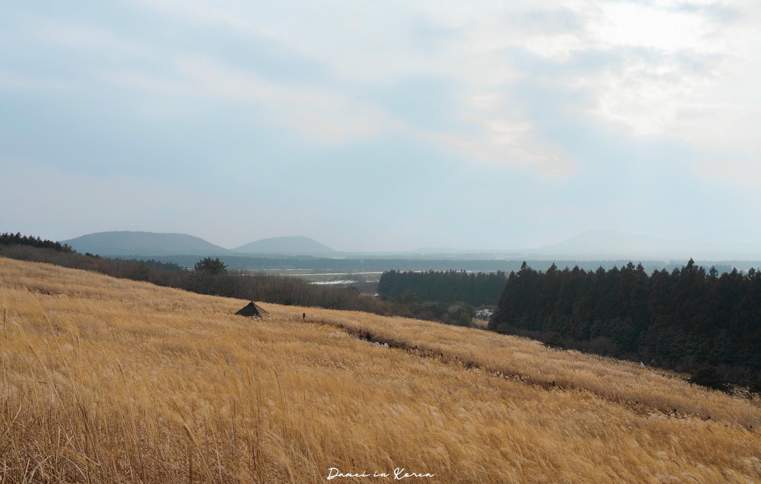 濟州島秋日必去！山君不離산굼부리-獨特火山凹地，冬季積雪更迷人
