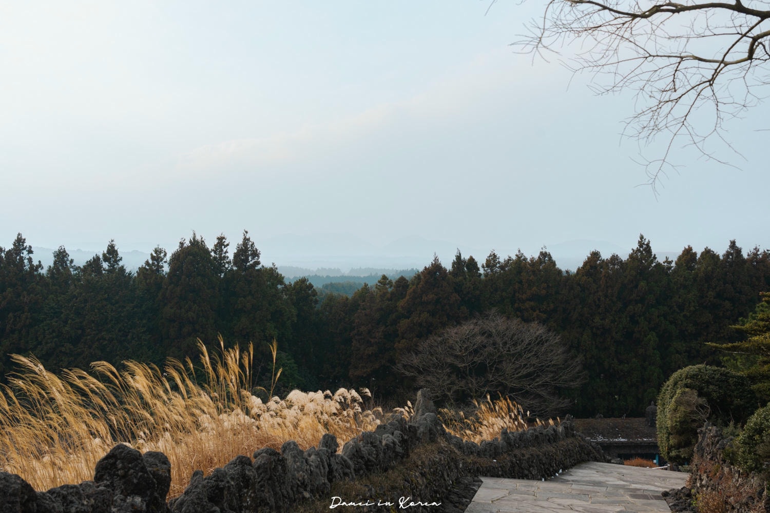 濟州島秋日必去！山君不離산굼부리-獨特火山凹地，冬季積雪更迷人