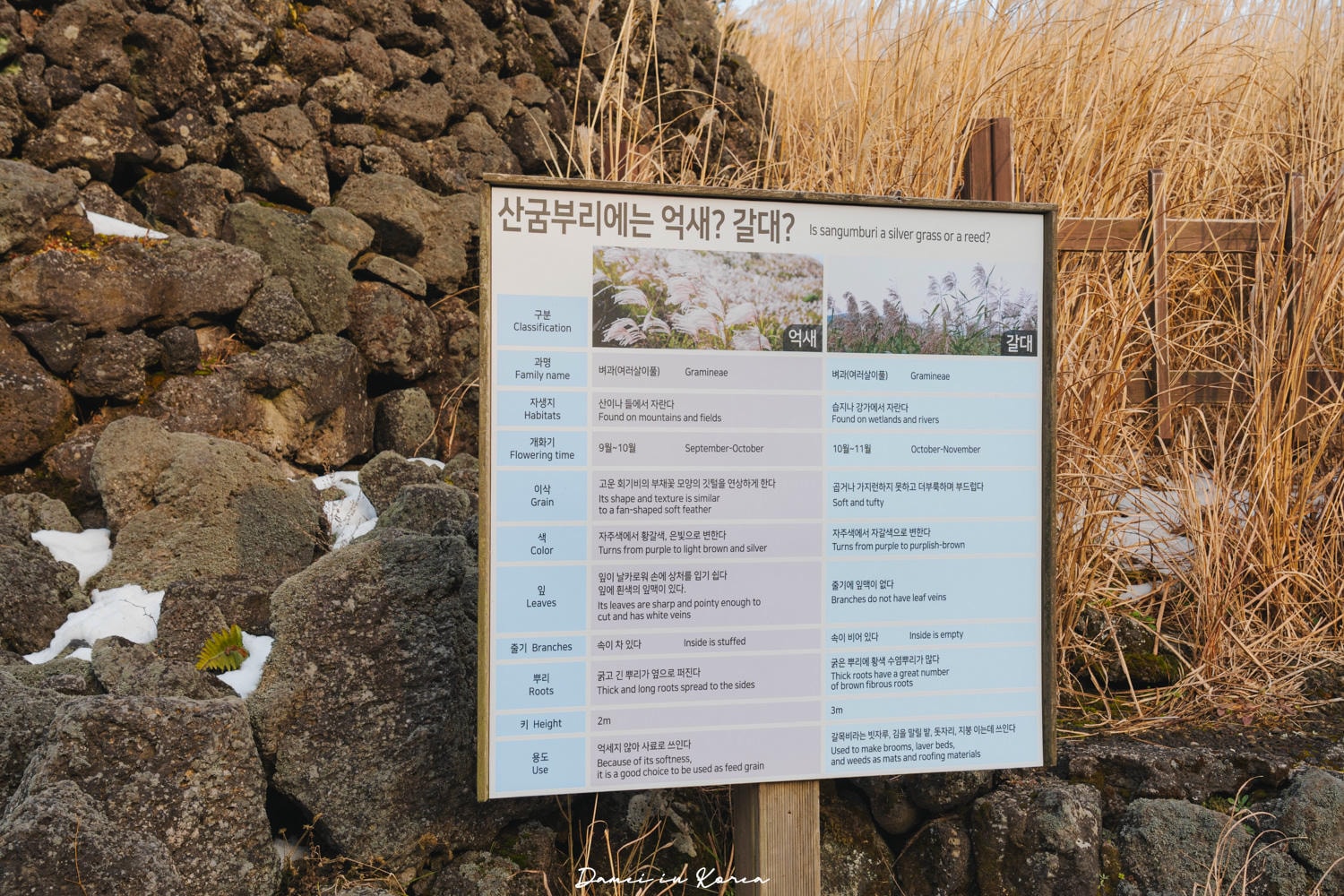 濟州島秋日必去！山君不離산굼부리-獨特火山凹地，冬季積雪更迷人
