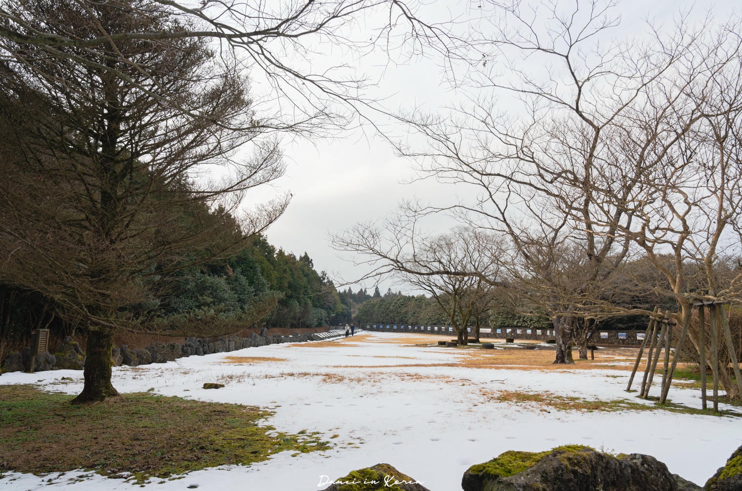 濟州島秋日必去！山君不離산굼부리-獨特火山凹地，冬季積雪更迷人