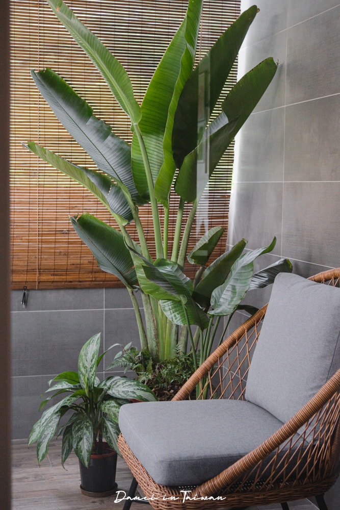台東質感民宿推薦!淺山深居,全棟北歐設計家具打造、雙人房空間十分寬敞 - 第49張圖 台東質感民宿推薦!淺山深居,全棟北歐設計家具打造、雙人房空間十分寬敞