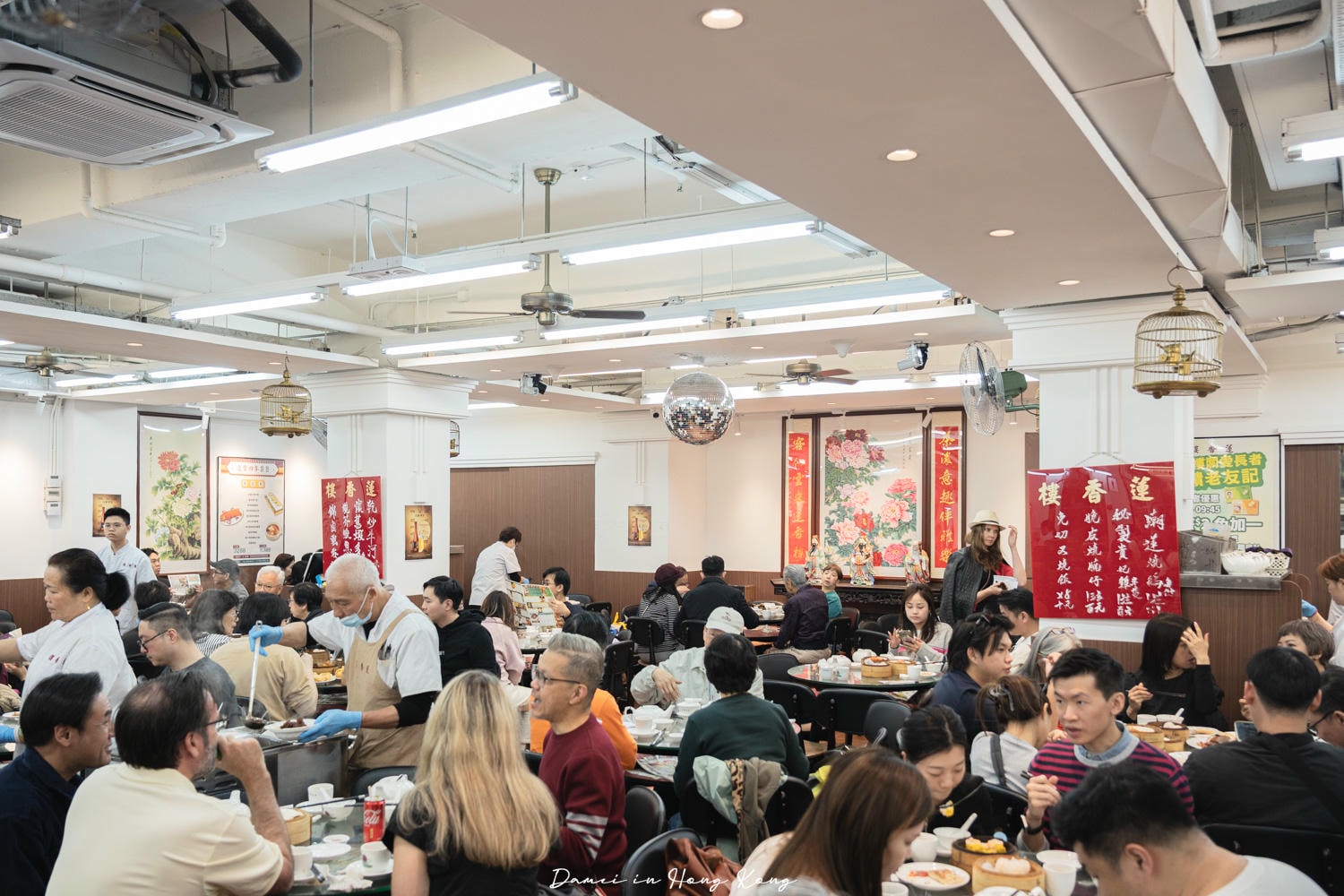 香港上環美食「蓮香樓」百年飲茶老店，保留傳統點心推車文化！