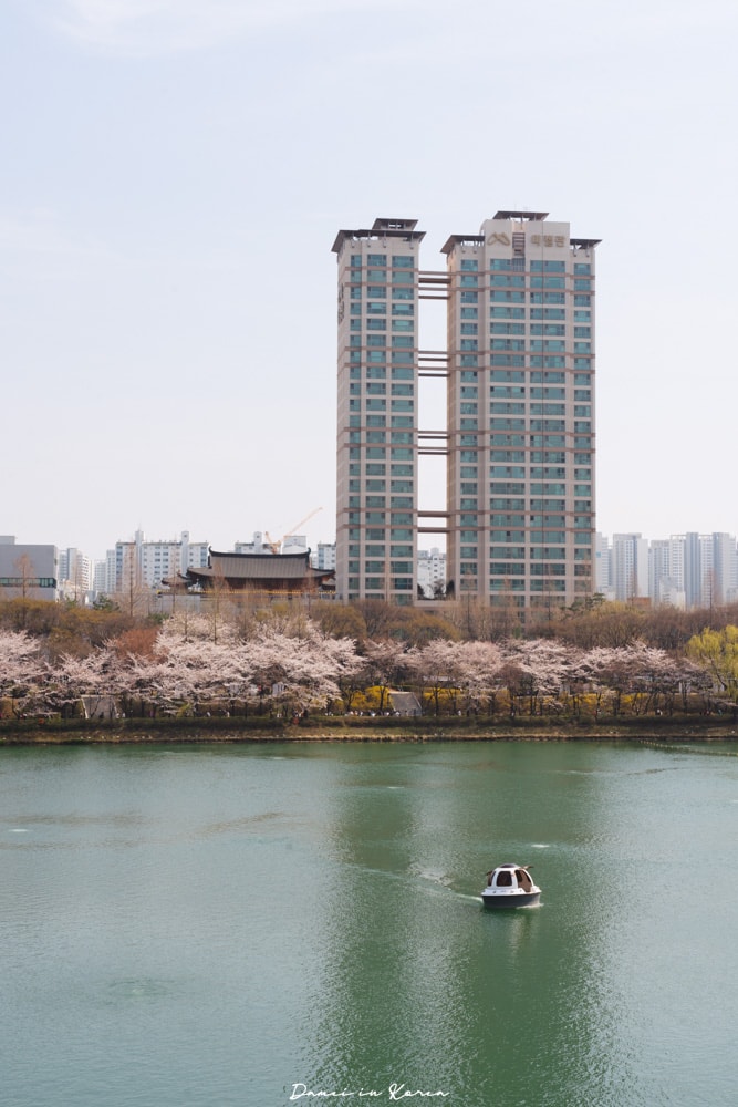 首爾櫻花景點石村湖