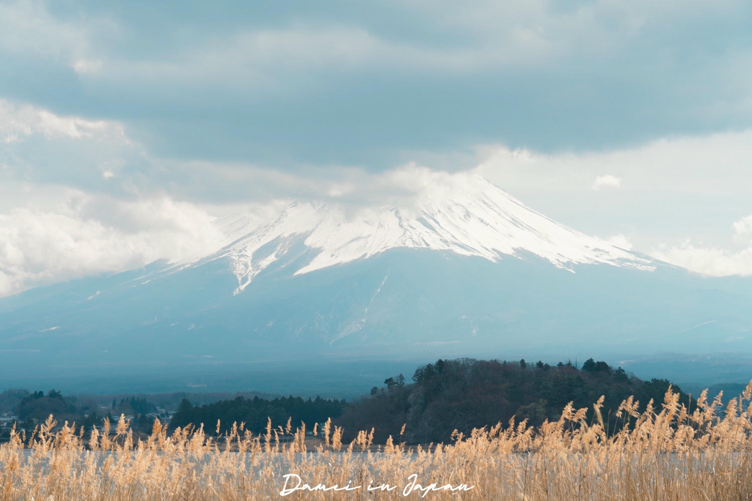 富士山一日遊攻略！東京出發，路線、交通、行程一次分享