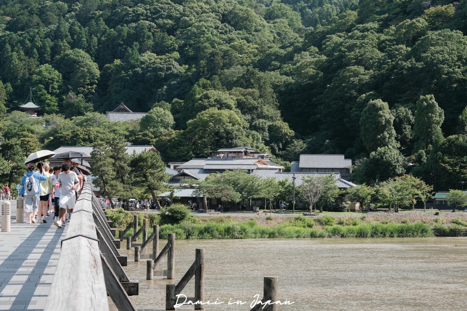 2026嵐山小火車搭乘攻略,票價、時刻表、沿線景點整理 - 第50張圖 2026嵐山小火車搭乘攻略,票價、時刻表、沿線景點整理