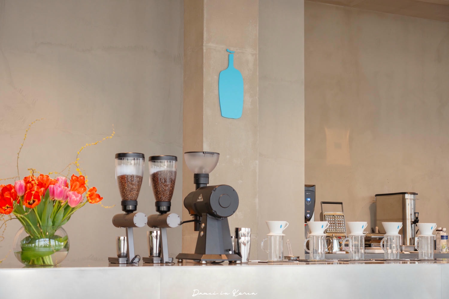 釜山藍瓶咖啡「Blue Bottle Coffee釜山民樂店」春日賞櫻必訪，頂樓露台坐擁水營灣海景