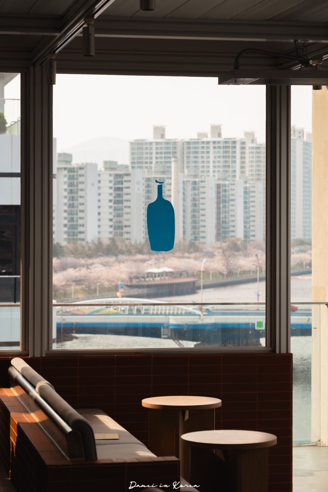 釜山藍瓶咖啡「Blue Bottle Coffee釜山民樂店」春日賞櫻必訪，頂樓露台坐擁水營灣海景