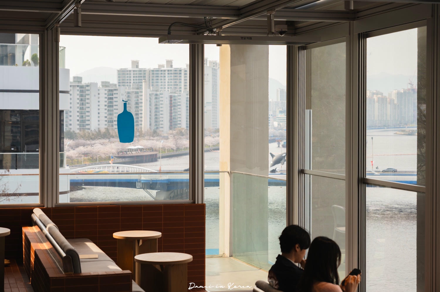 釜山藍瓶咖啡「Blue Bottle Coffee釜山民樂店」春日賞櫻必訪，頂樓露台坐擁水營灣海景