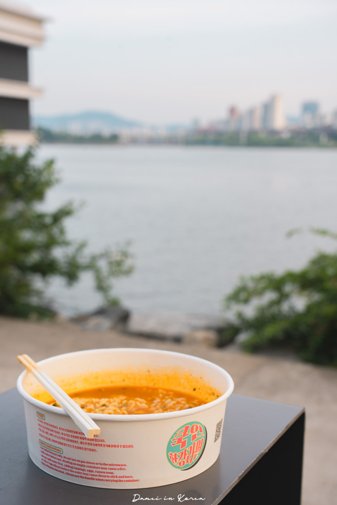 首爾景點推薦「纛島漢江公園」首爾人的城市綠洲,愛拍照的你必定要收藏 - 第16張圖 首爾景點推薦「纛島漢江公園」首爾人的城市綠洲,愛拍照的你必定要收藏
