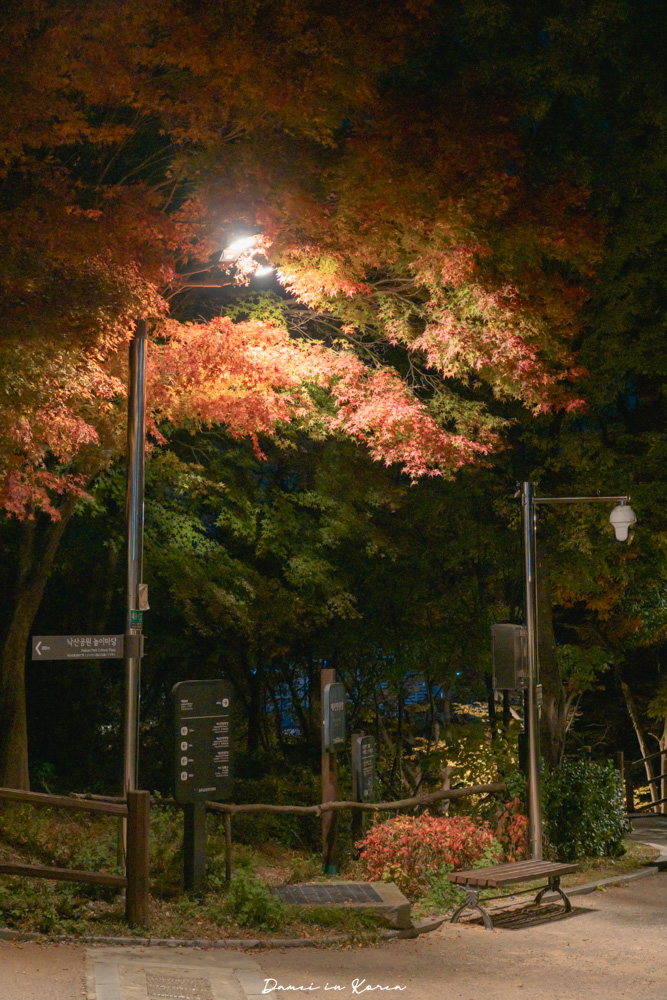 駱山公園值得去嗎？怎麼去？首爾情侶約會勝地！又很好拍照